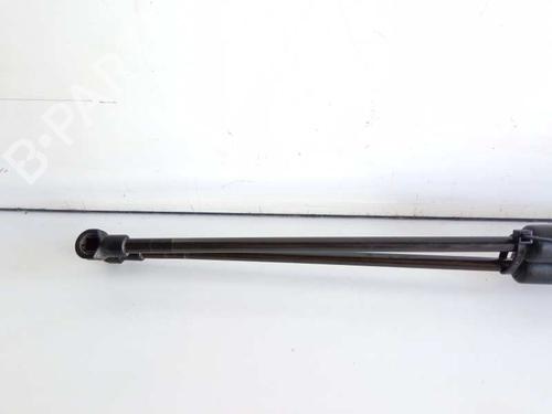 Tailgate lift support NISSAN QASHQAI I (J10, NJ10) 2.0 dCi | BP14224624C138 