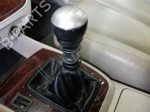 Gearstang Gearstang 38016893 38016893