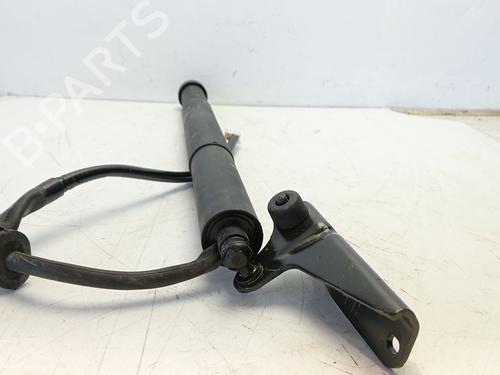 Tailgate lift support TOYOTA YARIS (_P13_)  | BP24970385C138 