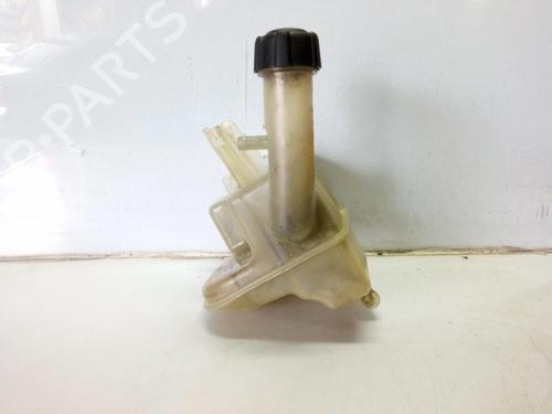 Expansion tank RENAULT LAGUNA II Grandtour (KG0/1_) 1.9 dCi (KG0G) | BP10174093C120 