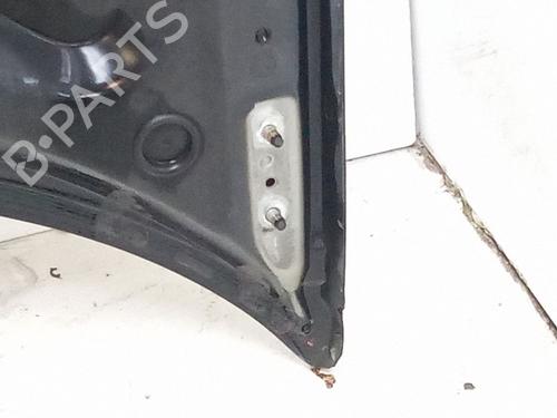 Hood AUDI A3 (8P1)  | BP31145912C1 