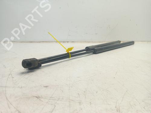 Tailgate lift support HYUNDAI TUCSON (JM) | BP31158579C138