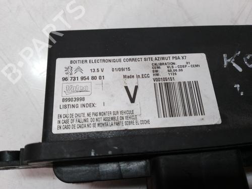 Electronic module CITROËN C5 III (RD_)  | BP9539917M83 