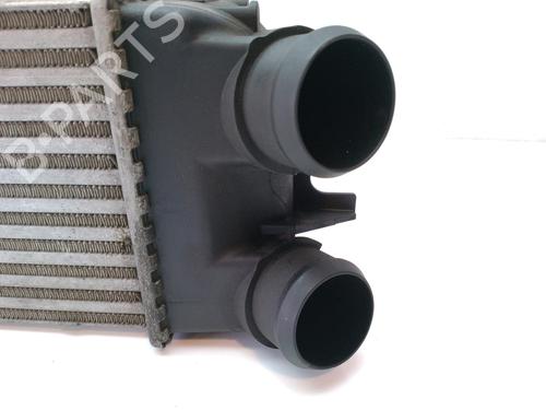 Intercooler CITROËN XSARA PICASSO (N68)  | BP13660138M30 