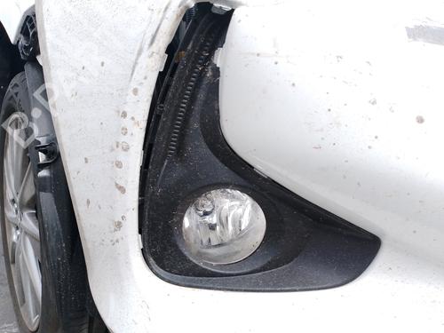 Højre Foran Tågelygte TOYOTA YARIS (_P13_) | BP30947918C31