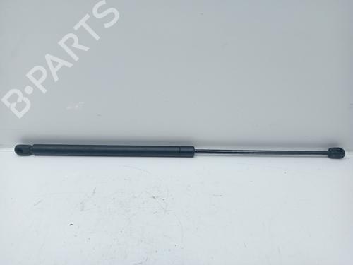 Hood lift support SEAT LEON (1M1)  | BP16862792C139 