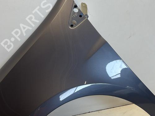 Left front fenders RENAULT CLIO III (BR0/1, CR0/1) 1.5 dCi (BR17, CR17) | BP29364461C41 