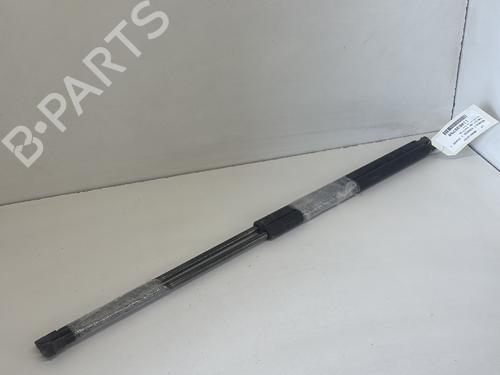 Used Tailgate lift support RENAULT KANGOO (KC0/1_) 1.4 (KC0C, KC0H, KC0B, KC0M) (75 hp) 29365331