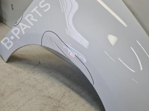 Right front fenders RENAULT SCÉNIC III (JZ0/1_) 1.5 dCi | BP29363590C42 