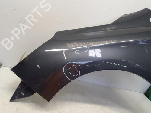 Left front fenders CITROËN C4 II (NC_) 1.4 VTi 95 (NC8FP0) | BP29364819C41 