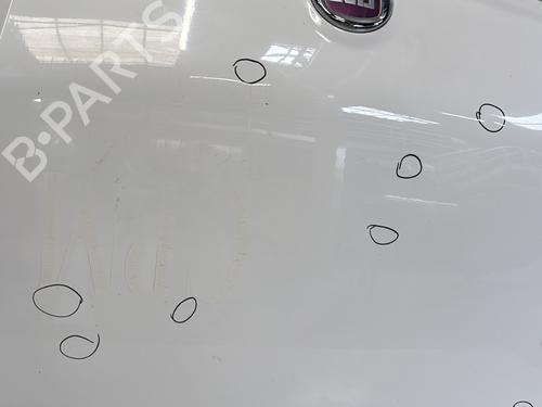 Hood FIAT QUBO (225_) 1.3 D Multijet (225CXB1A, 225AXB1A, 225CXB11, 225AXB11,... | BP29361948C1 