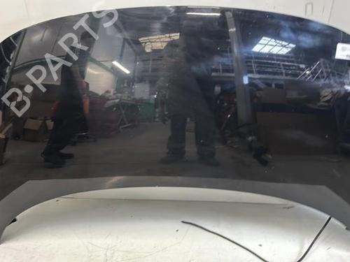 Used Hood RENAULT SCÉNIC III (JZ0/1_) 1.5 dCi (110 hp) 29369581