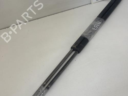 Tailgate lift support RENAULT KANGOO (KC0/1_) 1.4 (KC0C, KC0H, KC0B, KC0M) | BP29365331C138 