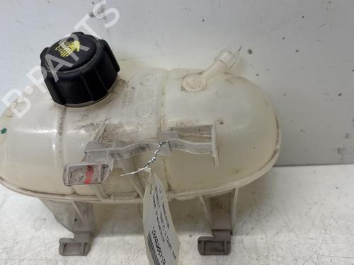 Expansion tank RENAULT TRAFIC III Van (FG_) 1.6 dCi 125 (FGMH) | BP29363717C120 
