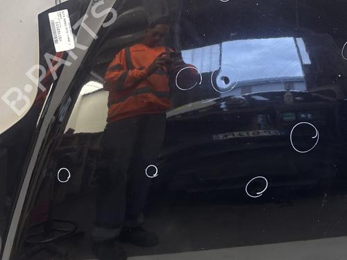 Capot Capot ALFA ROMEO MITO (955_) 1.3 MultiJet (955AXP1A, 955AYC1A) (95 hp) 29363031 29363031