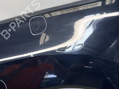 Left front fenders PEUGEOT 3008 I MPV (0U_) 1.6 HDi | BP29364766C41 