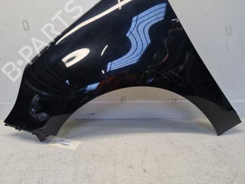 Left front fenders RENAULT SCÉNIC III (JZ0/1_) 1.5 dCi | BP29369561C41 