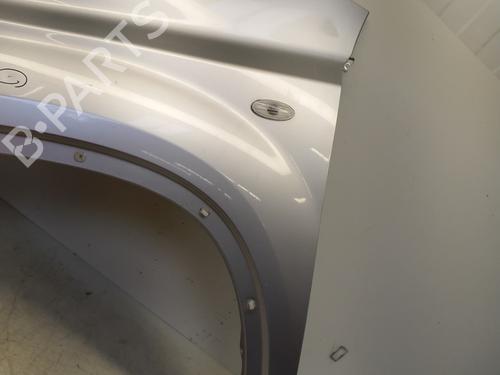 Left front fenders NISSAN X-TRAIL II (T31) 2.0 dCi 4x4 | BP29365784C41 