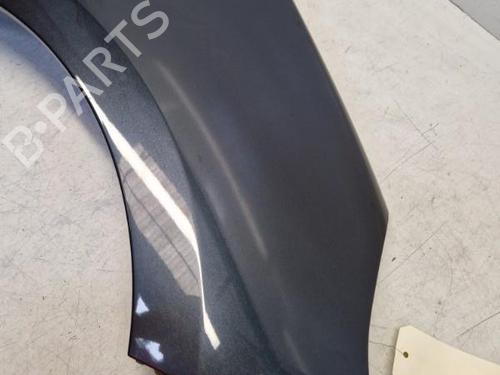Right front fenders RENAULT GRAND SCÉNIC III (JZ0/1_) 1.5 dCi (JZ09, JZ0D, JZ10, JZ14, JZ1G, JZ29, JZ2C) | BP29369232C42 