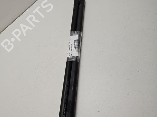 Used Tailgate lift support RENAULT KANGOO / GRAND KANGOO II (KW0/1_) 1.5 dCi 90 (KW05, KW08, KW0G, KW11) (90 hp) 30316618