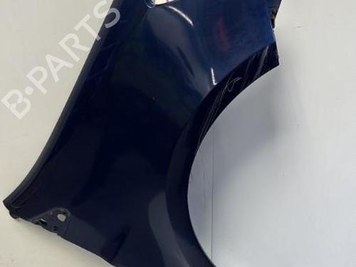Right front fenders RENAULT CLIO III (BR0/1, CR0/1) 1.5 dCi (BR17, CR17) | BP29369669C42 