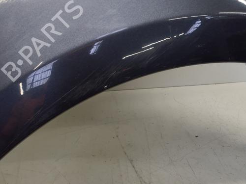 Left front fenders RENAULT CLIO III (BR0/1, CR0/1) 1.5 dCi (BR17, CR17) | BP29364021C41 