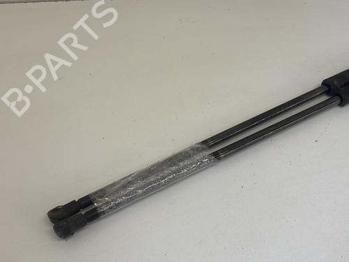 Tailgate lift support RENAULT KANGOO (KC0/1_) 1.4 (KC0C, KC0H, KC0B, KC0M) | BP29365331C138 