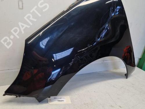 Left front fenders RENAULT SCÉNIC III (JZ0/1_) 1.5 dCi | BP29369561C41 