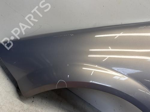 Left front fenders RENAULT MEGANE II (BM0/1_, CM0/1_) 2.0 16V (BM0U, CM0U) | BP29368179C41 