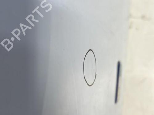 Used Hood FIAT 500 (312_) 1.3 D Multijet (312AXB1A) (75 hp) 29369730