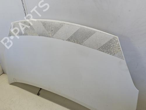 hood-citroen-berlingo-multispace-b9-2008-32009239 main image