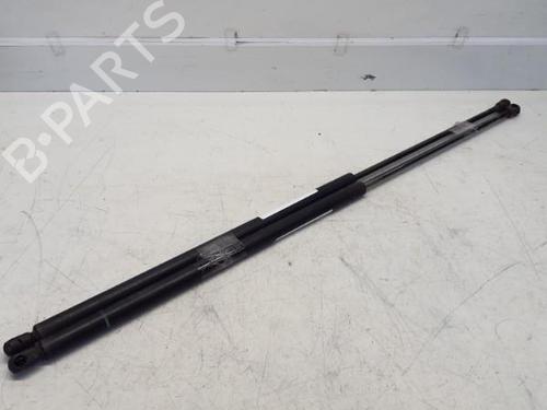 Used Tailgate lift support FIAT DOBLO MPV (119_, 223_) 1.9 JTD (105 hp) 29370176