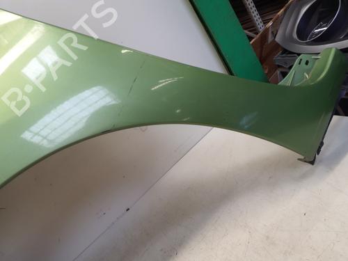 Left front fenders RENAULT KANGOO / GRAND KANGOO II (KW0/1_) 1.5 dCi 90 (KW05, KW08, KW0G, KW11) | BP29362215C41 
