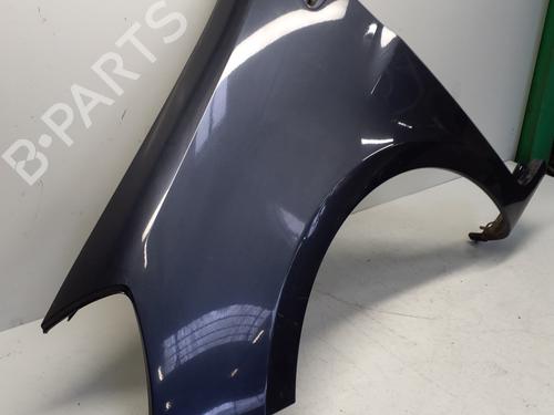 Left front fenders RENAULT CLIO III (BR0/1, CR0/1) 1.5 dCi (BR17, CR17) | BP29364021C41 