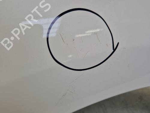 Left front fenders RENAULT SCÉNIC III (JZ0/1_) 1.5 dCi | BP29363591C41 