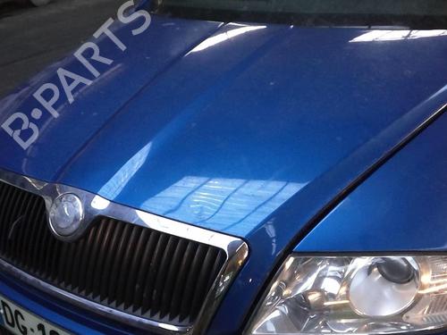 Used Hood Hood SKODA OCTAVIA II Combi (1Z5) 2.0 TDI RS (170 hp) 33738296 33738296