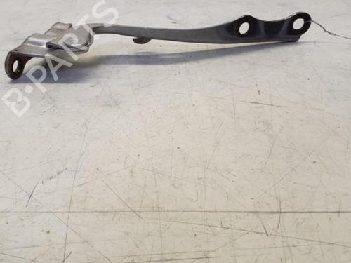 Hinge/Door check strap TOYOTA PRIUS Liftback (_W2_) 1.5 Hybrid (NHW20_, NHW20R) | BP29369848C146 