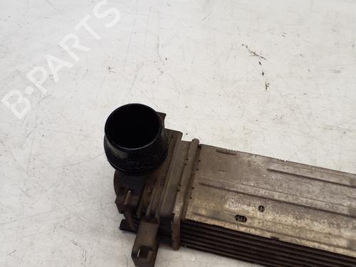 Intercooler RENAULT SCÉNIC III (JZ0/1_) 1.5 dCi | BP29363598M30 