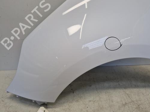 Left front fenders RENAULT SCÉNIC III (JZ0/1_) 1.5 dCi | BP29363591C41 