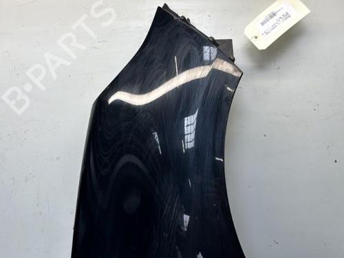 Right front fenders RENAULT SCÉNIC III (JZ0/1_) 1.5 dCi | BP29369602C42 