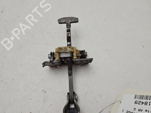 Hinge/Door check strap RENAULT SCÉNIC III (JZ0/1_) 1.5 dCi | BP31169822C146