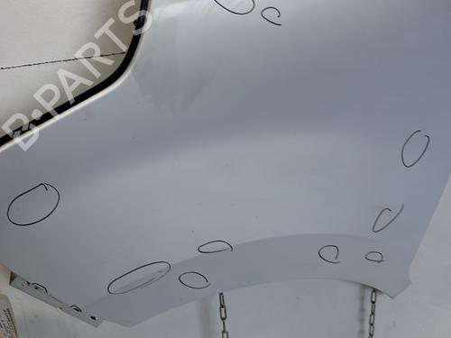 Left front fenders OPEL MOVANO B Van (X62) 2.3 CDTI FWD (FV) | BP29897223C41