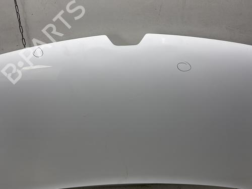 Hood RENAULT KANGOO Express (FW0/1_) 1.5 dCi 90 (FW0G, FW05, FW08, FW11) | BP29744659C1 