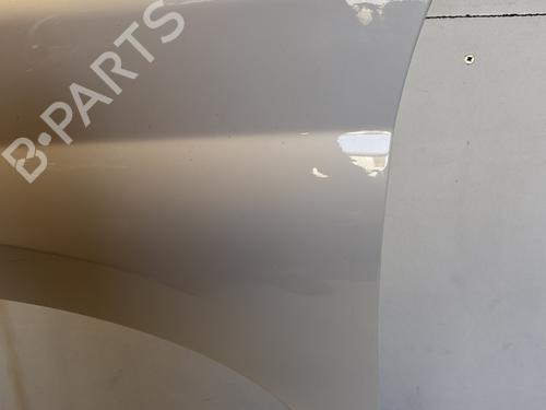 Left front fenders PEUGEOT 207 (WA_, WC_) 1.4 HDi | BP29365144C41 