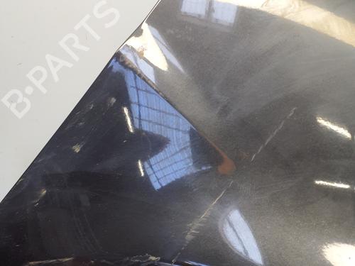 Right front fenders RENAULT CLIO III (BR0/1, CR0/1) 1.5 dCi (C/BR0G, C/BR1G) | BP29369694C42 