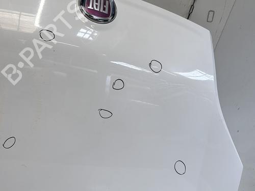 Hood FIAT QUBO (225_) 1.3 D Multijet (225CXB1A, 225AXB1A, 225CXB11, 225AXB11,... | BP29361948C1 