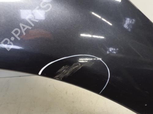 Left front fenders RENAULT SCÉNIC II (JM0/1_) 1.5 dCi (JM1E, JM16) | BP29363768C41 