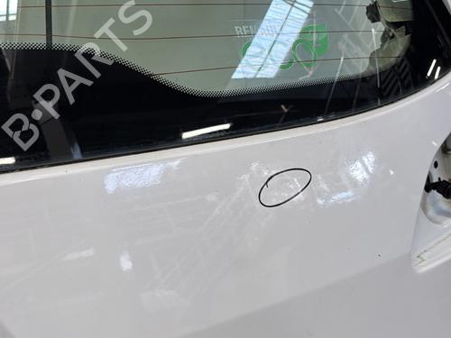 Tailgate RENAULT SCÉNIC III (JZ0/1_) 1.5 dCi | BP29363588C6 