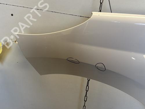 Left front fenders PEUGEOT 207 (WA_, WC_) 1.4 HDi | BP29365144C41 