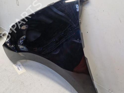 Used Left front fenders RENAULT SCÉNIC III (JZ0/1_) 1.5 dCi (110 hp) 29369561